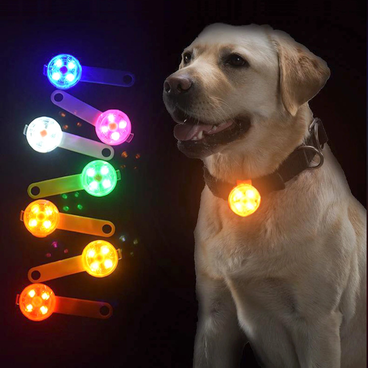 USB-Wiederaufladbares LED-Hunde-Blinklicht – Wasserdichtes Sicherheitslicht für Halsband & Geschirr